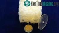 Ảnh Nhựa phân hủy sinh học giúp giảm ô nhiễm môi trường