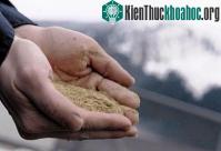 Ảnh Sản xuất điện từ bã bia
