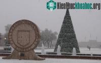 Ảnh Bão tuyết hoành hành khu vực miền Nam nước Mỹ