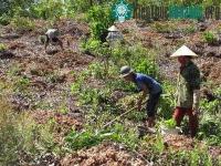 Ảnh Giảm phát thải khí nhà kính bằng phương án lâm sinh