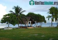 Ảnh Đảo du lịch Bali cũng “đau đầu” vì rác thải chất dẻo