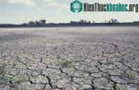 Ảnh 100 triệu người có thể chết trước năm 2030 do biến đổi khí hậu