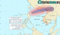 Ảnh Cần chủ động ứng phó với bão Kai-Tak