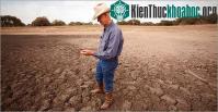 Ảnh Nông nghiệp Nga thất thu hơn 1 tỷ USD do thời tiết
