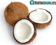 Ảnh Sản xuất dầu nhờn máy bay từ dầu mỏ và dầu dừa