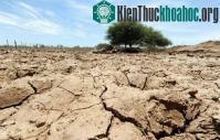 Ảnh Hiện tượng thời tiết El Nino có thể sắp xuất hiện