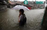Ảnh Mưa lớn hoành hành tại Trung Quốc và Thái Lan