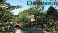 Ảnh Giông bão cực lớn tại Mỹ khiến 10 người thiệt mạng