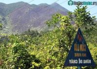 Ảnh Gần 100 ha rừng Hải Vân bị thiêu rụi