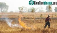 Ảnh JICA hỗ trợ việc giảm thiểu phát thải khí nhà kính