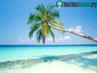 Ảnh Vùng Caribe cần giải pháp chống biến đổi khí hậu