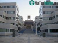 Ảnh Biến khí cacbonic thành chất dẻo