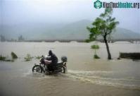 Ảnh Các tỉnh ĐBSCL bị nước mặn xâm nhập sâu 70km