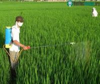 Ảnh 43% khí nhà kính từ hoạt động nông nghiệp