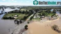 Ảnh Sydney hứng trận mưa lớn nhất trong 100 năm qua