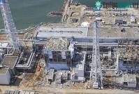 Ảnh Nghiên cứu sinh vật quanh nhà máy điện Fukushima I
