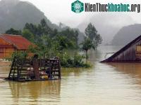 Ảnh Xuất hiện lũ dị thường mùa đông trên sông Hồng