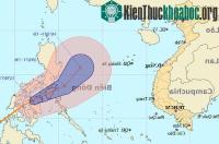 Ảnh Bão Banyan mạnh cấp 8 trên biển Đông