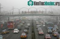 Ảnh Ô nhiễm không khí gây suy giảm chức năng não