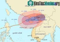 Ảnh Đêm nay bão Nesat ảnh hưởng đến miền Bắc