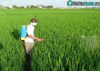 Ảnh Lạm dụng thuốc trừ sâu gây phát thải khí nhà kính