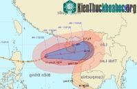Ảnh Bão Nalgae hướng thẳng đến Bắc Trung Bộ