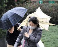 Ảnh Siêu bão Roke tàn phá Nhật Bản, 4 người chết