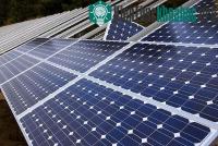 Ảnh Năng lượng mặt trời gây ô nhiễm ở Trung Quốc