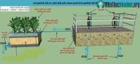 Ảnh Dùng sức người tập thể dục lọc nước hồ