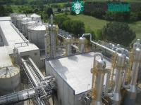 Ảnh Bước đột phá mới về năng lượng sinh học