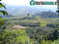 Ảnh Động đất mạnh 7,1 richter rung chuyển Papua New Guinea
