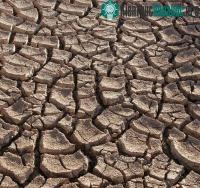 Ảnh La Nina đang quay trở lại