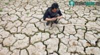 Ảnh Giá lương thực sẽ tăng gấp đôi vào 2030