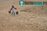 Ảnh Hạn hán gây thiếu điện nghiêm trọng ở Trung Quốc