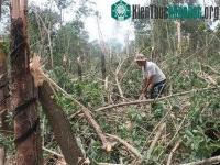 Ảnh Bình Phước: Mưa đá, lốc xoáy gây thiệt hại lớn