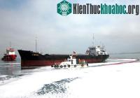 Ảnh Ứng phó thảm họa cho nhà máy lọc dầu Dung Quất