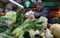 Ảnh Rau Trung Quốc bị nhiễm xạ