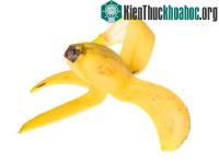Ảnh Những tác dụng bất ngờ của vỏ chuối với môi trường