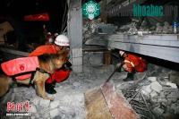 Ảnh Những hình ảnh động đất Trung Quốc