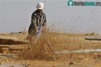 Ảnh Khai thác đất hiếm và nguy cơ gây ô nhiễm