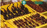 Ảnh Ăn côn trùng - giải pháp mới để "cứu" môi trường