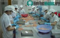 Ảnh Công nghệ sạch đang thiếu vốn