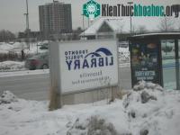 Ảnh Hàng trăm người tại Canada mắc kẹt do bão tuyết