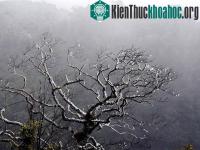 Ảnh Các tỉnh miền Bắc rét đậm, vùng núi có nơi rét hại