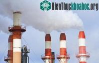 Ảnh “Giải cứu” trái đất bằng thực phẩm xanh