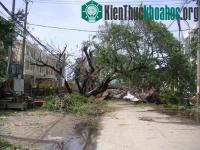 Ảnh Nhìn từ góc độ biến đổi khí hậu