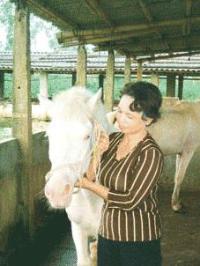 Ảnh Bảo tồn gien và nhân giống ngựa bạch