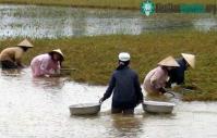 Ảnh 16 người chết, bị thương và mất tích do mưa lũ
