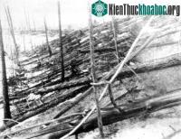 Ảnh Củng cố giả thuyết cho rằng vụ nổ Tunguska năm 1908 là do sao chổi gây ra