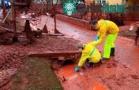 Ảnh Nghiên cứu xử lý bùn đỏ bô xít thành đất trồng